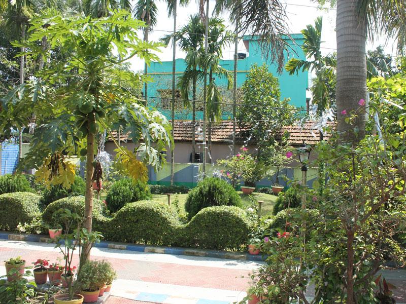 Latest Photo - View of the garden at Arati Princess Nest