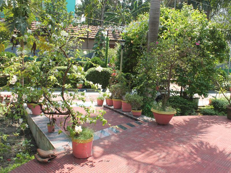 Latest Photo - Another view of the garden at Arati Princess Nest