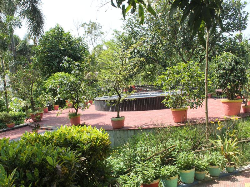 Latest Photo - View of the garden at Arati Princess Nest